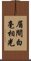 眉間白毫相光 Scroll