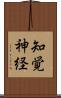 知覚神経 Scroll