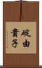 碇由貴子 Scroll