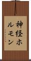 神経ホルモン Scroll