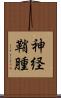 神経鞘腫 Scroll