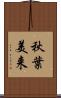 秋葉美来 Scroll