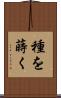 種を蒔く Scroll
