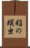 稲の螟虫 Scroll