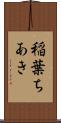 稲葉ちあき Scroll