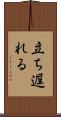 立ち遅れる Scroll