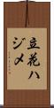 立花ハジメ Scroll