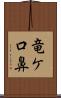 竜ケ口鼻 Scroll