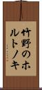 竹野のホルトノキ Scroll
