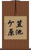 笠池ケ原 Scroll