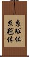 糸球体 Scroll