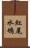 紅尾水鴝 Scroll