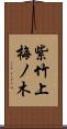 紫竹上梅ノ木 Scroll