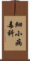 細小病毒科 Scroll