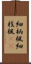 細柄楓 Scroll