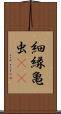 細縁亀虫(rK) Scroll