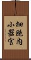 細胞内小器官 Scroll