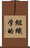 組織学的 Scroll