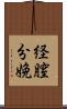 経膣分娩 Scroll