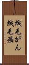 絨毛がん Scroll