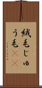 絨毛 Scroll