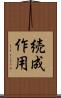 続成作用 Scroll