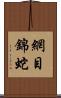 網目錦蛇 Scroll
