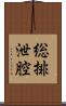 総排泄腔 Scroll