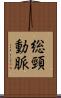 総頸動脈 Scroll