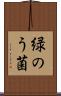 緑のう菌 Scroll