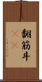 翻筋斗(rK) Scroll
