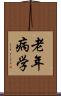 老年病学 Scroll
