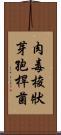 肉毒梭狀芽孢桿菌 Scroll