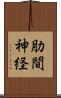 肋間神経 Scroll