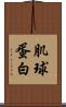 肌球蛋白 Scroll