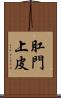 肛門上皮 Scroll