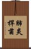 肺炎桿菌 Scroll