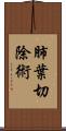 肺葉切除術 Scroll