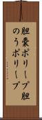 胆嚢ポリープ Scroll