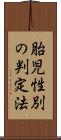 胎児性別の判定法 Scroll