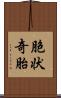 胞状奇胎 Scroll