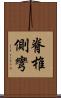 脊椎側彎 Scroll