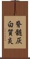 脊髄灰白質炎 Scroll