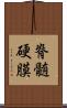 脊髄硬膜 Scroll