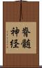 脊髄神経 Scroll