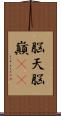 脳天 Scroll