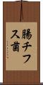 腸チフス菌 Scroll