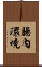 腸内環境 Scroll