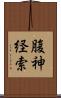 腹神経索 Scroll