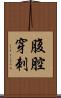 腹腔穿刺 Scroll